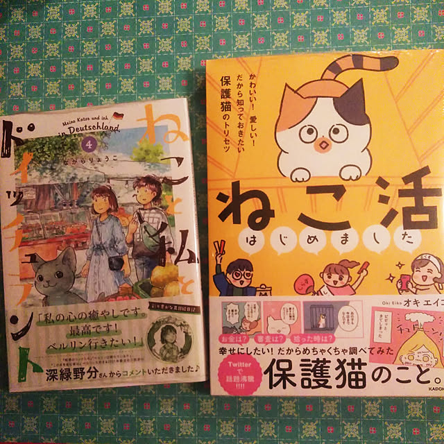 futukoの-ねこ活はじめました かわいい!愛しい!だから知っておきたい保護猫のトリセツ/オキエイコの家具・インテリア写真