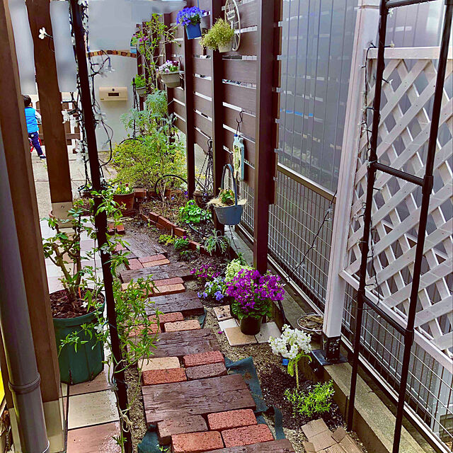 hinamamaの-ユキヤナギ オーレア 15cmポット 苗の家具・インテリア写真