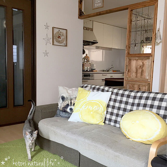 kotoriのニトリ-モチモチクッション(レモン H)  『玄関先迄納品』の家具・インテリア写真