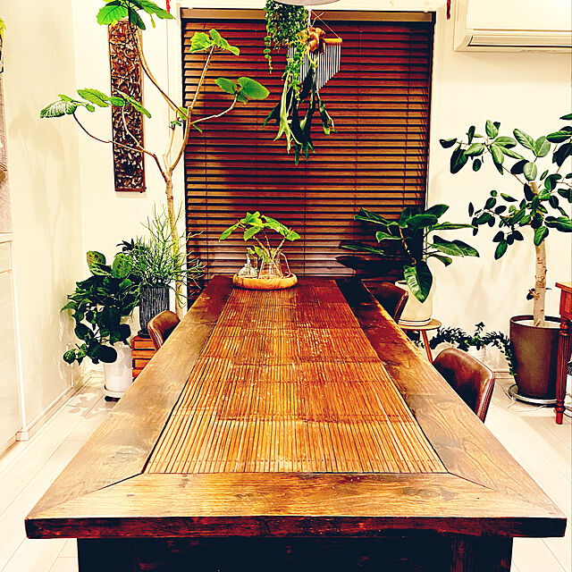 mana3の-バンブーブラインド 7色から選べる、すっきりした木目の(バンブー）竹製ブラインド ニチベイ バンブー（竹）ブラインド ポポラの家具・インテリア写真