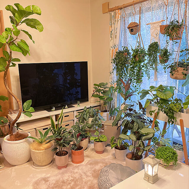 natsuの・-ハンギング プランター 植木鉢 カバー 観葉植物 おしゃれ 公式 ユグラ ハンギングポット Sの家具・インテリア写真