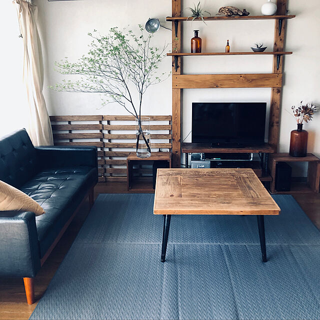 megのイケヒコ・コーポレーション-い草ラグ　Fオーレン　8242520の家具・インテリア写真