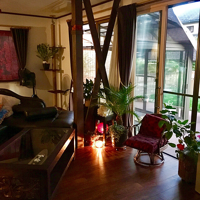 aiaiの大和プラスチック-フレグラーポット10号（約30cm）　ダークブラウン鉢花 観葉植物 果樹 花木 植木鉢 プラ鉢 薔薇の家具・インテリア写真