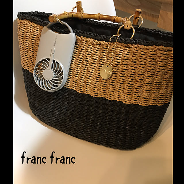 割引クーポン Francfranc キャリーファン グレー sushitai.com.mx