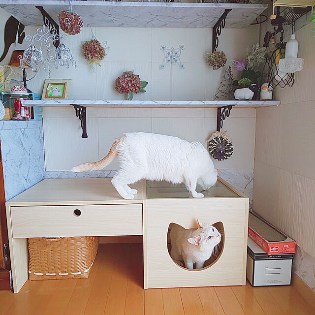 posauruのコンポジット-1年保証 テーブル ローテーブル 猫 キャットハウス ペットハウス カフェテーブル 木製 引き出し 100cm ペットベッド ガラス 肉球 猫ベッド 送料無料の家具・インテリア写真