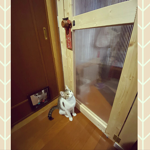 LufuのYcozy-Ycozy ペットドア 外寸25×23.5cm 猫 出入り口 小型犬用 ドア 猫扉 4-way切替 ロック キャットドア 室内用 取り付け簡単 冷暖房対策の家具・インテリア写真