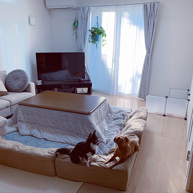 makoのニトリ-こたつ掛ふとん 長方形(KK2201リバース) の家具・インテリア写真