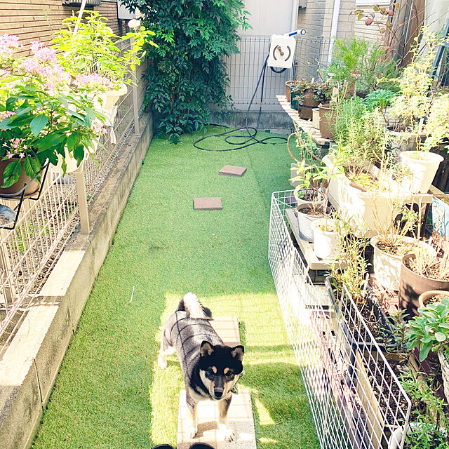mo-nosukeの山善-人工芝 ロール 防草シート付き 1m×10mの家具・インテリア写真