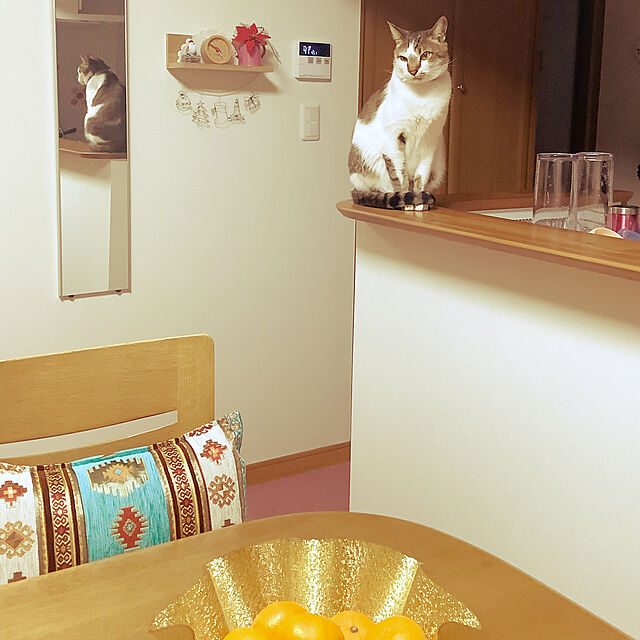 haruminの-割れない軽量フィルムミラー 細枠 20×90cm シャンパンゴールド 【通販】の家具・インテリア写真