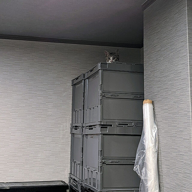 miyabiのトラスコ中山-トラスコ中山(TRUSCO) 薄型折りたたみコンテナ 50Lロックフタ付 グレー TR-C50B-GY 収納ケース 収納ボックスの家具・インテリア写真