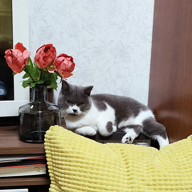 KEIKOのイケア-GULLKLOCKA グルクロッカ クッションカバーの家具・インテリア写真