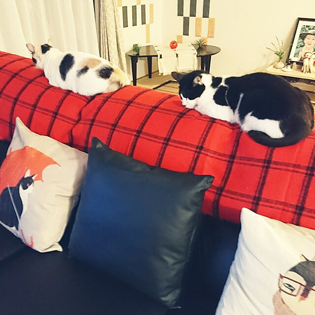 uchizukonyanのGoenn-Goenn 抱き枕カバー クッションカバー かわいい 猫柄 43cm*43cm インテリア おしゃれ 雑貨 車 お部屋 模様替え ピロー 枕 カバー 可愛い ホーム (D)の家具・インテリア写真