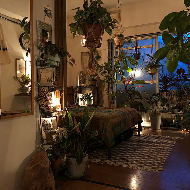 SHINPEIのThames & Hudson-Indoor Green: Living With Plantsの家具・インテリア写真