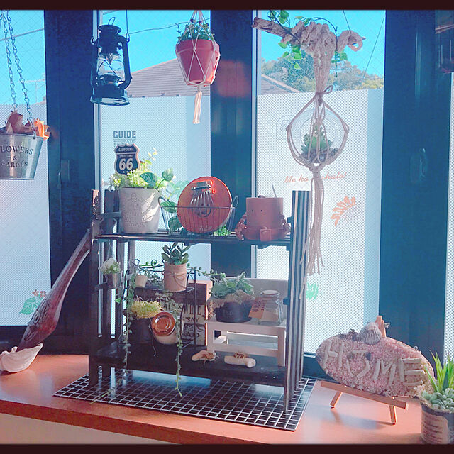 shinoのニトリ-多肉ガラスウォール Ｌ(31811SL1) の家具・インテリア写真