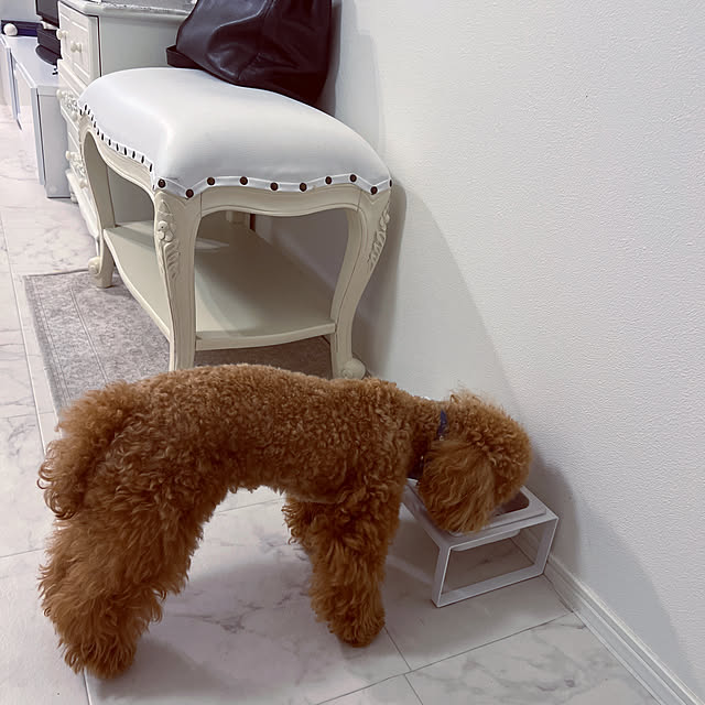 tower-pet-food-bowl-stand-set-tall