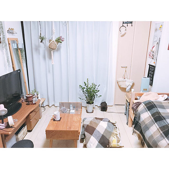 mikiteacupの-(niko and./ニコアンド)オリジナルプランターハンガーセット/ [.st](ドットエスティ)公式の家具・インテリア写真