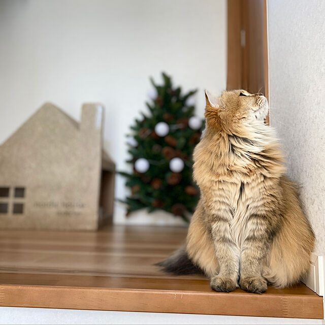furitamaのZEROONESPACE-YAOMI Wood ノルディックハウス スクラッチャー 猫 爪とぎ 高密度段ボール 耐荷重の家具・インテリア写真