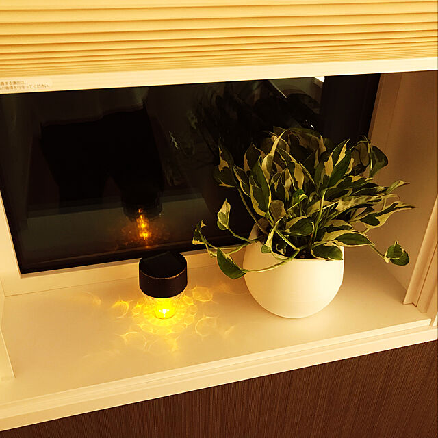 misatoのニトリ-LEDソーラープチライト(BK IHG)  『玄関先迄納品』 『1年保証』の家具・インテリア写真