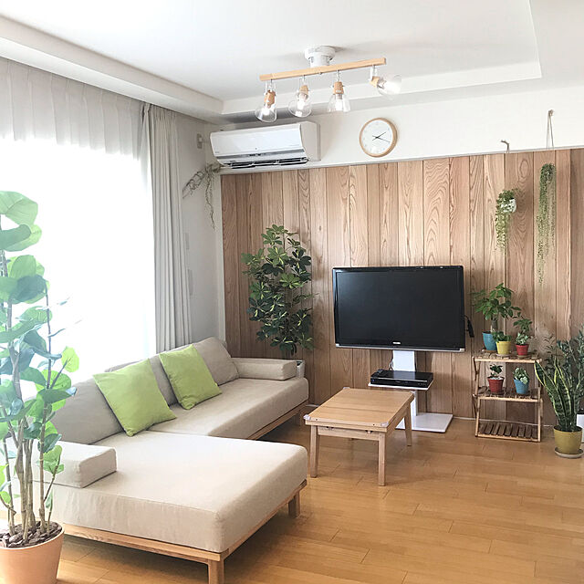 kuraのニトリ-グリーン(KH シーグレープ) の家具・インテリア写真