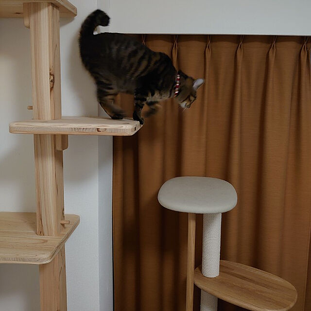  カリモク家具 KARIMOKU CAT TREE キャットタワー 木製 日本製 猫タワー 撥水加工生地 綿縄爪研ぎ 高さ124cm 運動不足 