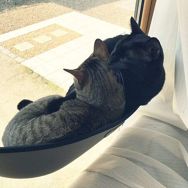 yuki0511の-MOUNT WINDOW BED [マウントウィンドウベッド]【グリーン】エアバギー猫用 ベッド【送料無料】の家具・インテリア写真