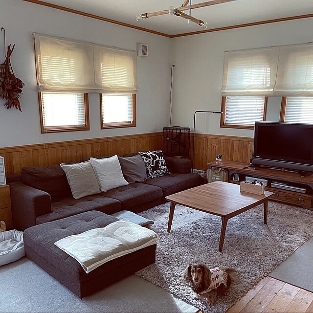 yupponのニトリ-ペットベッド Ｍ(Nホテル シカク GY M) の家具・インテリア写真