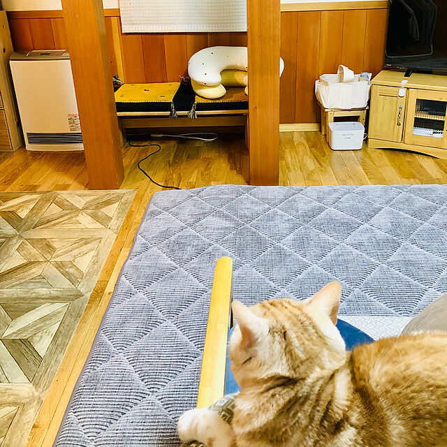 mikuwaの-コンビ クイックウォーマー ハンディ カシミアベージュ(1台)【コンビ】[おしりふきウォーマー クイックウォーマー コンビ]の家具・インテリア写真