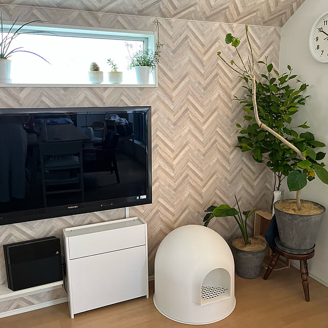 写真付きレビュー 送料無料 Pidan ピダン 猫用トイレ スノードーム型 猫 トイレ 大型 ドーム 型 猫トイレ 猫トイレ本体 おしゃれ 飛び散り防止 カバー 目隠し 猫砂 飛び散らない フルカバー ネコ スコップ 蓋 付き 消臭 大型猫トイレ 大きめ 大きい ねこ ネコ ペット