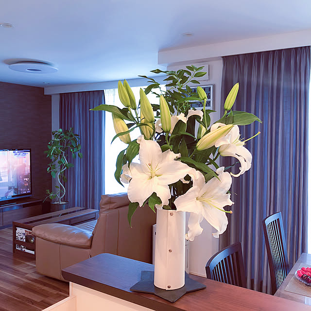 写真付きレビュー 抗菌機能付き 花瓶カバー Dorea 花器カバー おしゃれ 一輪挿し サービスブーケ 小さい シンプル 白 割れない ミニ ペットボトル 消臭剤 トイレ用 玄関用 隠す 花びん 植木鉢 送料無料 ギフト プチギフト プレゼント 北欧 雑貨 の通販商品