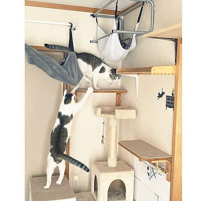 Lufuのアイリスオーヤマ(IRIS OHYAMA)-アイリスプラザ キャットタワー ハンモック 爪とぎ コンパクト おもちゃ付き 据え置き型 仔猫にも ベージュ キャットランド 高さ155cmの家具・インテリア写真