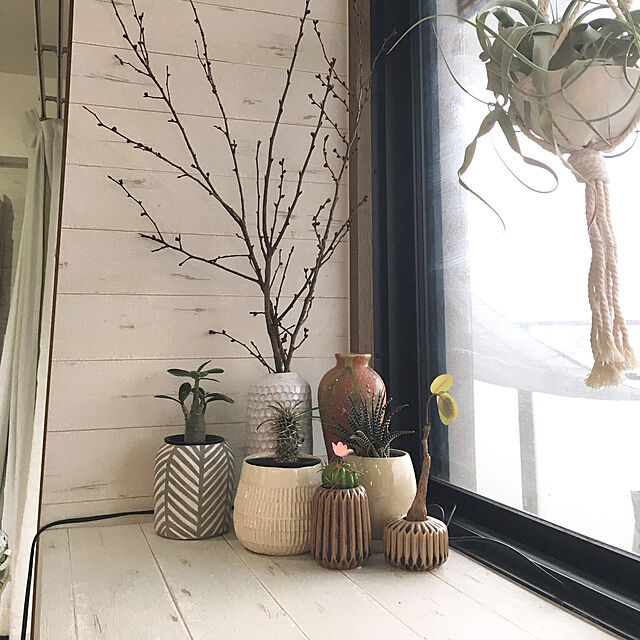 sasorikoの-植木鉢カバー おしゃれ ディーザ 11 室内の家具・インテリア写真