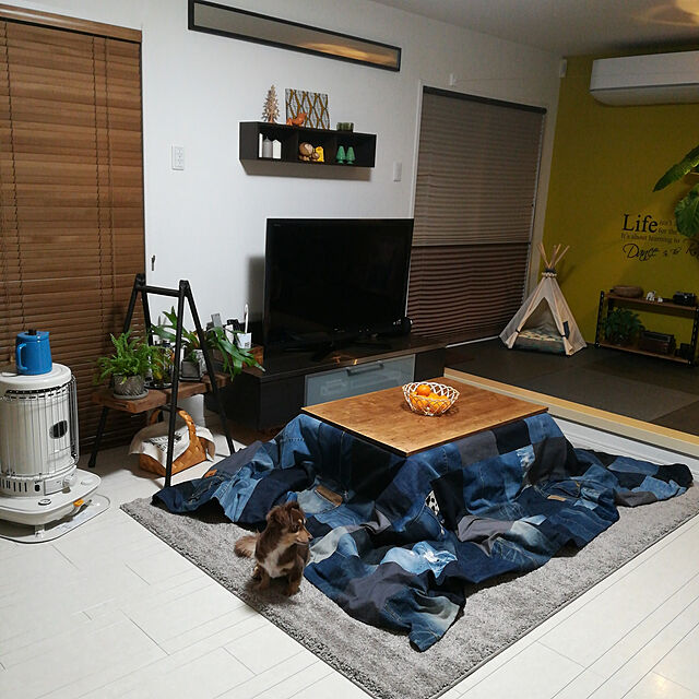 rikakoの-DACHSHUND(S)/犬 ダックスフント/Lisa Larson（リサ・ラーソン）/置物/オブジェの家具・インテリア写真