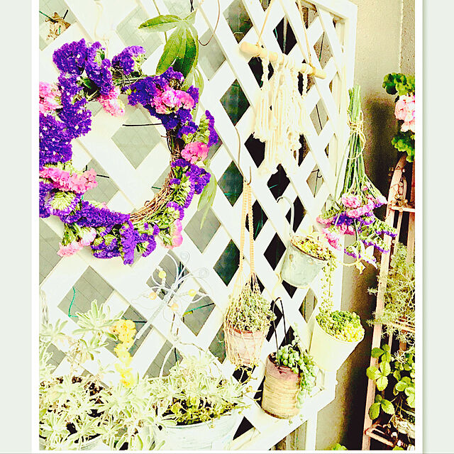 mimiの-スターチス (サンデーバイオレットなど）5本 生花からドライフラワー ハーバリウム花材 切花 切り花 生け花 花材の家具・インテリア写真