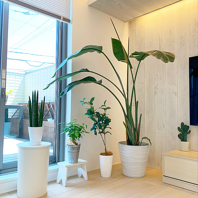 写真付きレビュー】フェイクグリーン 観葉植物 フェイク 人工観葉植物