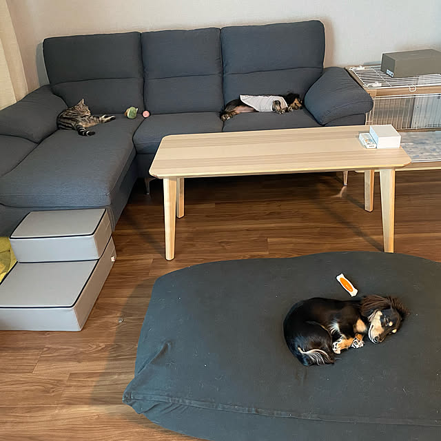 憧れの LISABO リーサボー コーヒーテーブル, アッシュ材突き板