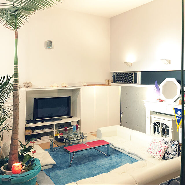 DAICHIの-マニラヤシの家具・インテリア写真