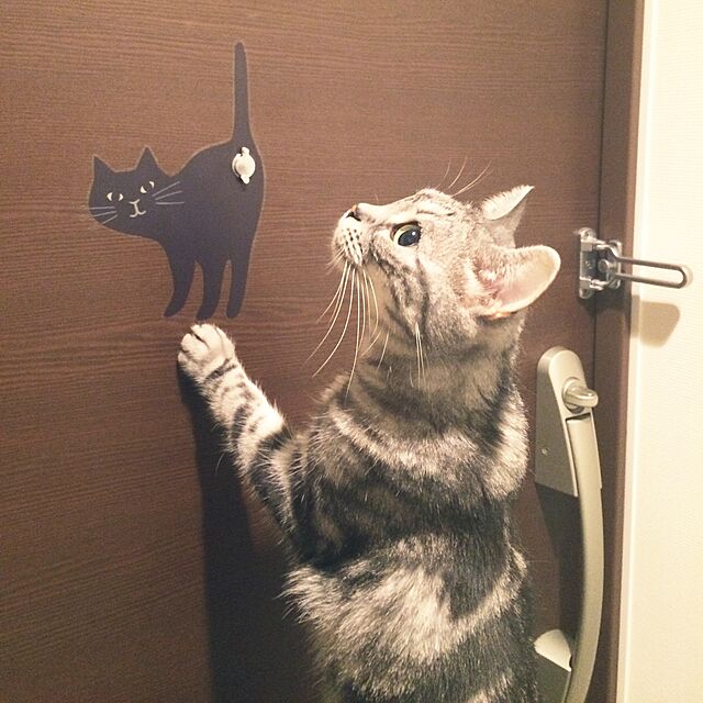 mikomaruの-デコレ(DECOLE)HAPPY CAT day　玄関扉ステッカー【ドアスコープ専用ステッカー】（黒猫 三毛猫）（しま猫 三毛猫 猫雑貨 ネコグッズ）の家具・インテリア写真
