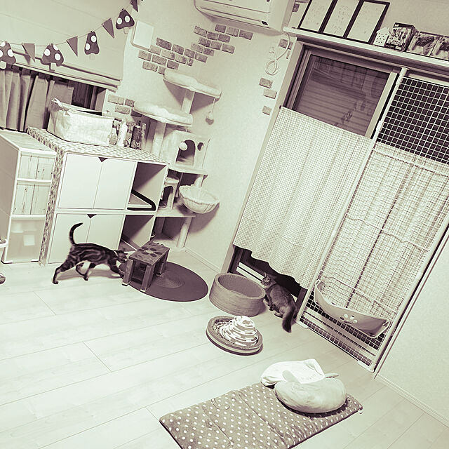 Masumiの-ホワイトファニチャー トイレカバー ワイド ネコ 爪とぎ 猫トイレ 横から入る 猫トイレ隠し ファニチャー 強化ダンボール ベッド オシャレ キャットハウス キャットベッドの家具・インテリア写真
