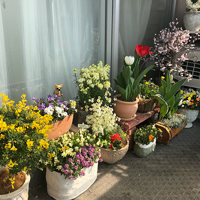 写真付きレビュー 園芸用 プランター 人気 ガーデニング おしゃれ 花 野菜 栽培 菜園 土 Diy サイズ 樽型 タル 天然木 コンパクト ベランダ ガーデン 庭の通販商品 口コミ情報 Roomclipショッピング