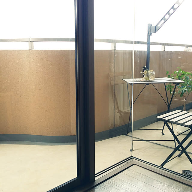 suzuのイケア-【送料無料】 イケア FICUS BENJAMINA - 鉢植え, ベンジャミン 【703.674.82】 IKEA通販の家具・インテリア写真