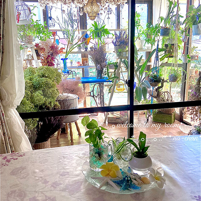 na-chanの-おしゃれ　観葉植物：マドカズラ*4.5号の家具・インテリア写真