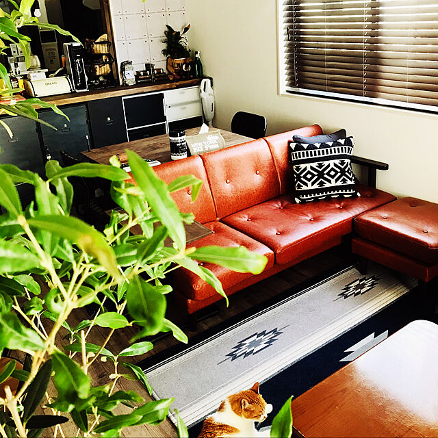 rocotamの-L字型セット ソファ ソファー sofa L字 L型 木肘コーナーカウチソファ VINK ヴィンク キャメルブラウンの家具・インテリア写真