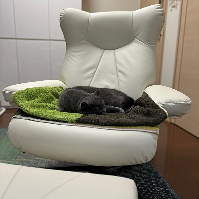 kittyのニトリ-パーソナルチェア(Nシールド ロード4 IV） の家具・インテリア写真