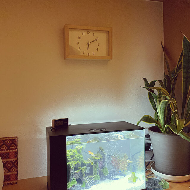 Hjknのジェックス-ジェックス GEX AQUARIUM ラクテリア ガラス 水換え簡単水槽 サカナ フィルター・LED付き W34×D17.5×H24cmブラックの家具・インテリア写真