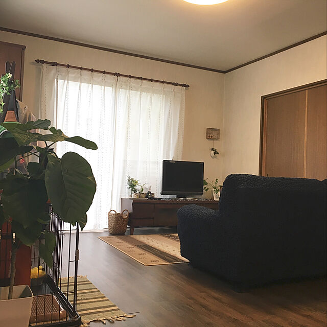 yu-ka-naのニトリ-布張り3人用ソファ(Nキャッツ ターコイズブルー) の家具・インテリア写真