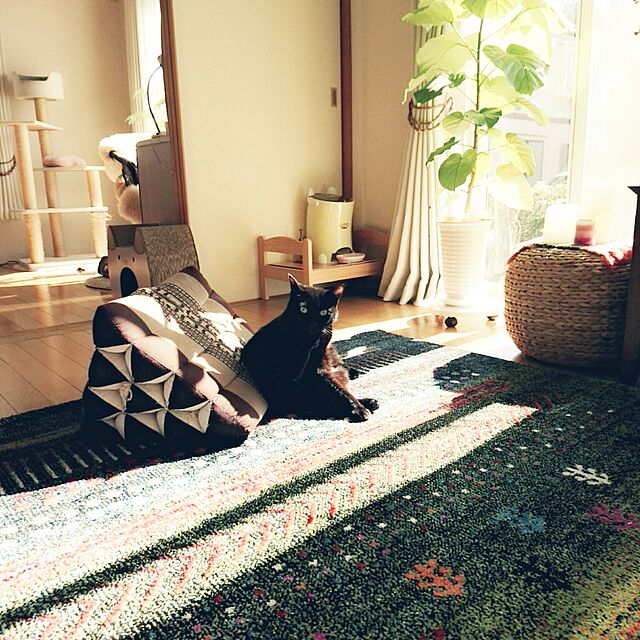 naru2014の-【アウトレット】PuChiko 猫つめとぎ キャットトンネルハウス(1コ入)【PuChiko】の家具・インテリア写真