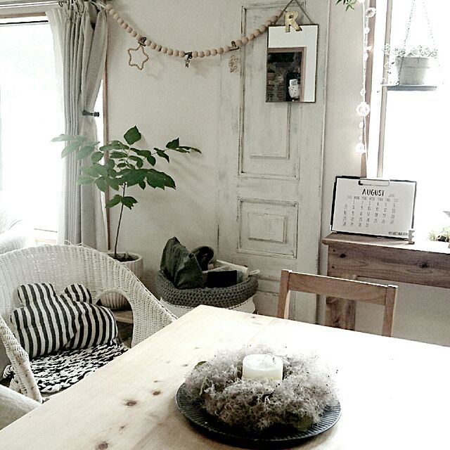 nounoursのぐりーんべりぃ-スモークツリー・ヤングレディ 3年生苗の家具・インテリア写真