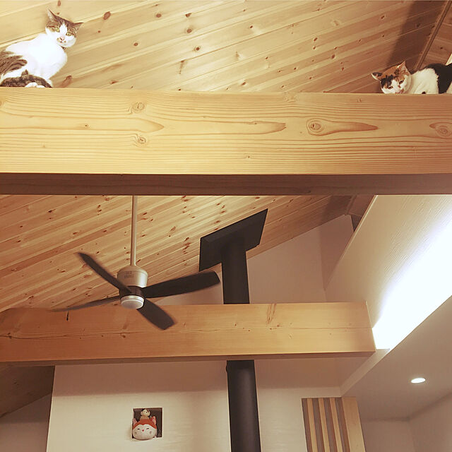 momochiyoのオーデリック-オーデリック シーリングファン リモコン付 WF080 傾斜天井 対応（別売延長パイプ使用時）の家具・インテリア写真