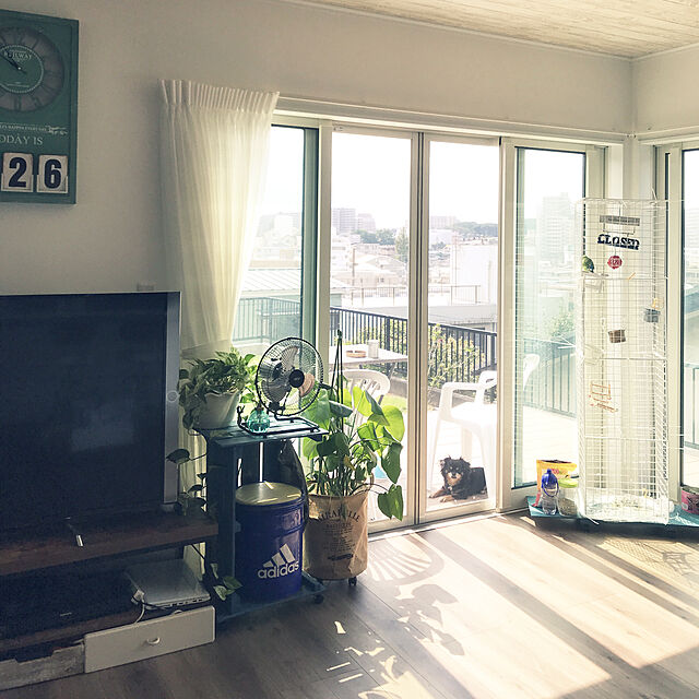 simamuuのニトリ-幅80 ローボード(ステイン 80N)  『玄関先迄納品』 『1年保証』の家具・インテリア写真