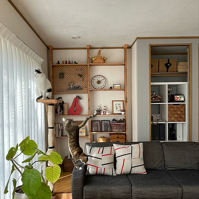 nobikoのイケア-[IKEA/イケア/通販]FRAKTA フラクタ 荷造りストラップ, ブラック[A](a)(20165542)の家具・インテリア写真